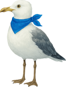 Möwe